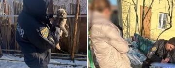 В Одесі відкрили кримінальне провадження через жорстоке поводження з котами