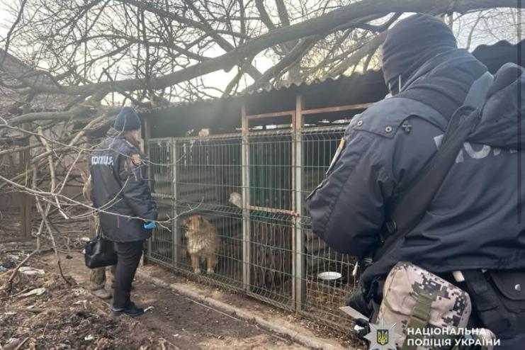 У Ізмаїлі відкрито кримінальне провадження за фактом неналежного утримання тварин