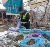 На Одещині ліквідували підпільні нарколабораторії на 11 мільйонів гривень