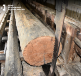 Контрабанду лісу до ЄС викрили на Одещині: справу депутата та спільників передано до суду