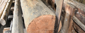 Контрабанду лісу до ЄС викрили на Одещині: справу депутата та спільників передано до суду