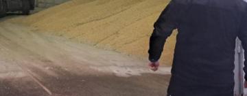 На Одещині судитимуть трьох перевізників за викрадення соєвого шроту на понад 1,6 млн грн