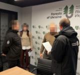 Вимагав 25 тисяч доларів за «вирішення» земельного питання: на Одещині судитимуть посадовця лісового управління