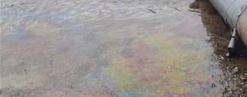 РФ спричинила транскордонне забруднення Дністра: про загрозу для Одещини повідомляє Мінекономіки 