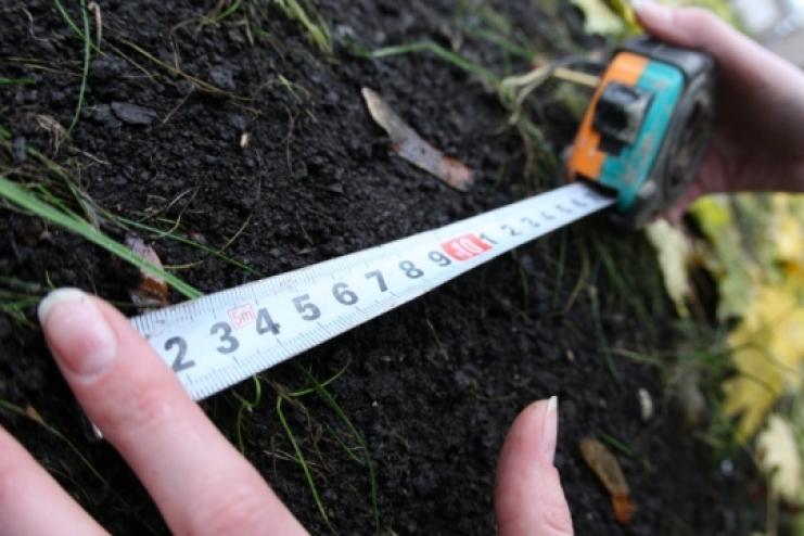 Ощадбанк виставив на продаж 60 гектарів землі на Одещині за понад 151 млн грн