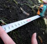 Ощадбанк виставив на продаж 60 гектарів землі на Одещині за понад 151 млн грн