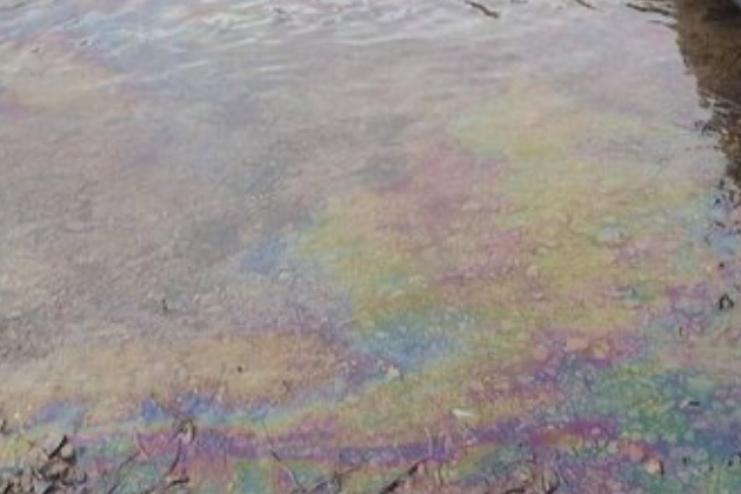 У Дністрі на Одещині зафіксували локальні плями забруднення: суттєвої загрози немає