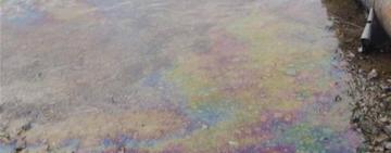 У Дністрі на Одещині зафіксували локальні плями забруднення: суттєвої загрози немає