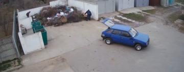 Жорстокість на наших вулицях: у Сараті та Ізмаїлі знущаються над тваринами