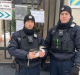 Від врятованого птаха до боротьби за життя: Білошицький розповів більше про поранених патрульних з Одеси