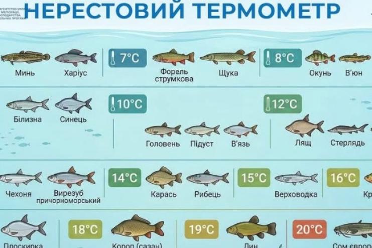З 1 квітня в Україні запроваджують нерестові обмеження для рибалок: що потрібно знати