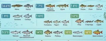 З 1 квітня в Україні запроваджують нерестові обмеження для рибалок: що потрібно знати