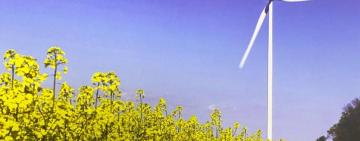 Арцизька ВЕС: мешканці громади мають претензії та вважають, що їхня думка не врахована