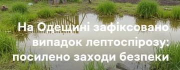 На Одещині зафіксували випадок лептоспірозу: фахівці закликають до пильності