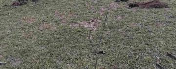 У селі Криничне триває відновлення зелених насаджень: висаджено нову ділянку дерев