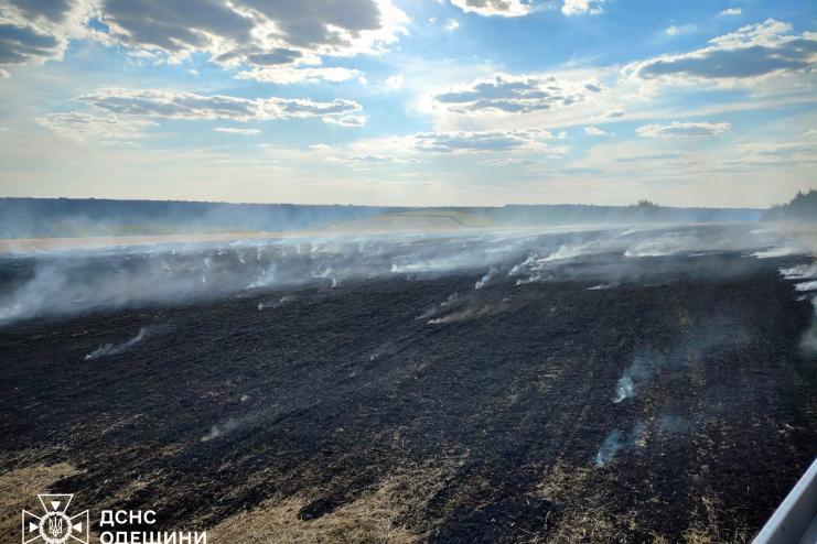 Пожежі сухої рослинності завдали Одещині понад 7 мільйонів гривень збитків за тиждень