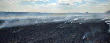 Пожежі сухої рослинності завдали Одещині понад 7 мільйонів гривень збитків за тиждень