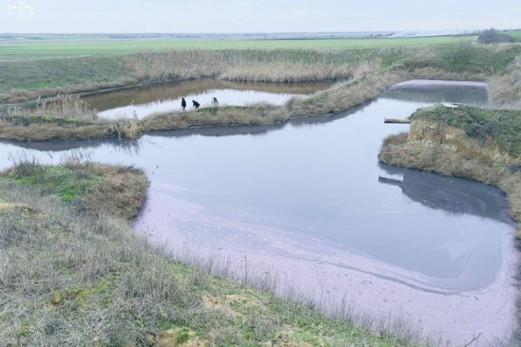 12,5 млн грн збитків довкіллю: на Одещині директору винзаводу повідомили про підозру