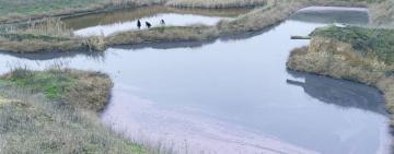 12,5 млн грн збитків довкіллю: на Одещині директору винзаводу повідомили про підозру