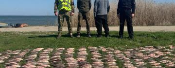 Поліцейські викрили жителя Білгород-Дністровського району у браконьєрстві на Дністровському лимані