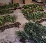 В Одесі до суду скеровано справу наркоділка, який організував багатомільйонний збут наркотиків через інтернет