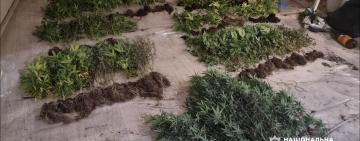 В Одесі до суду скеровано справу наркоділка, який організував багатомільйонний збут наркотиків через інтернет