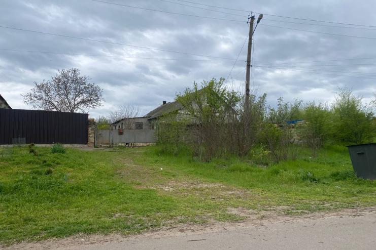 Собаки на самовигулі: в Арцизі шукають рішення, аби уникнути небезпеки