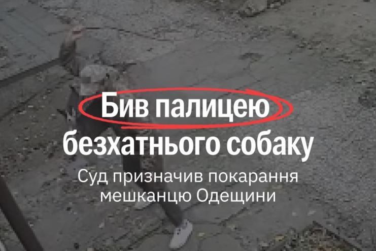 У Болграді чоловіка засудили за жорстоке побиття собаки: вирок із випробувальним строком викликав дискусію