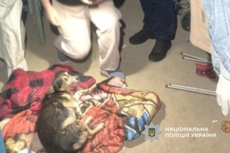 На Татарбунарщині чоловік вистрілив у собаку: відкрито кримінальне провадження