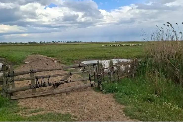 За кошари біля річок — під суд: у Татарбунарах винесли вирок за самовільне захоплення охоронних земель