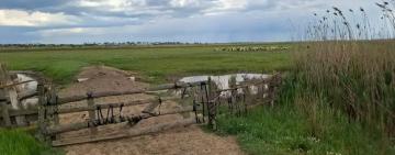 За кошари біля річок — під суд: у Татарбунарах винесли вирок за самовільне захоплення охоронних земель