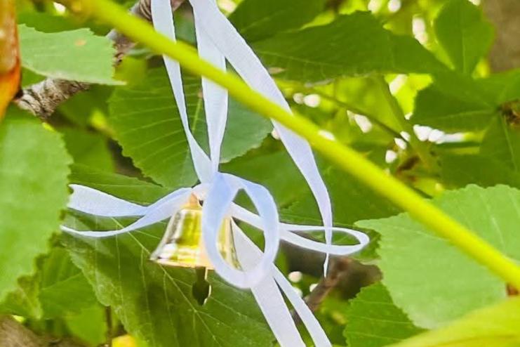В Арцизькій громаді вшанували пам’ять дітей – жертв війни під час акції «Дзвін дитячих голосів»
