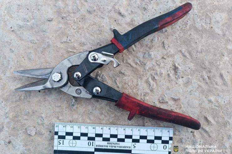 В Ізмаїлі чоловіку загрожує понад п’ять років позбавлення волі за крадіжку майна з електропідстанції