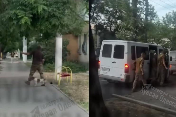 Через конфлікт із ТЦК в Одесі постраждав джек-рассел-тер'єр: поліція відкрила справу
