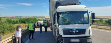Поліція затримала водія вантажівки, який протаранив пасажирську маршрутку на трасі Київ-Одеса