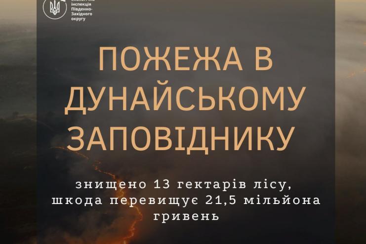 Пожежа в Дунайському заповіднику: знищено 13 гектарів лісу, збитки перевищили 21,5 млн гривень
