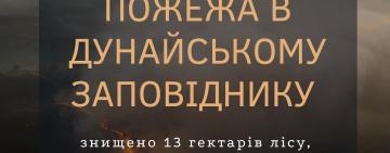 Пожежа в Дунайському заповіднику: знищено 13 гектарів лісу, збитки перевищили 21,5 млн гривень