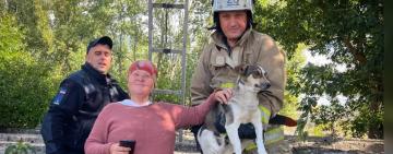 На Одещині рятувальники визволили чотирилапого улюбленця