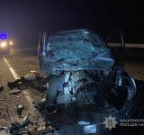 Постраждала дитина та двоє чоловіків: поліцейські встановлюють обставини ДТП