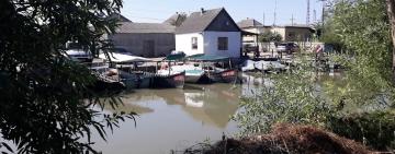 Вилківська громада просить не використовувати воду з Дунаю для пиття та приготування їжі