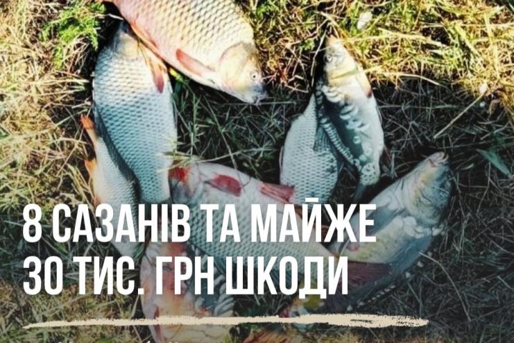 «Тихе полювання» закінчилося протоколом: на Хаджибейському лимані незаконно виловили 8 сазанів