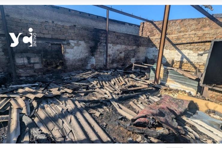 Ворожа ракета знищила притулок для тварин на Одещині, директорка дивом вижила під обстрілом