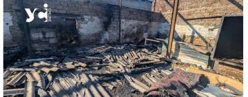 Ворожа ракета знищила притулок для тварин на Одещині, директорка дивом вижила під обстрілом