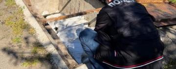 В Одесі замість лікувальної грязі до медзакладу поставили звичайний мул: підозрюють чотирьох людей
