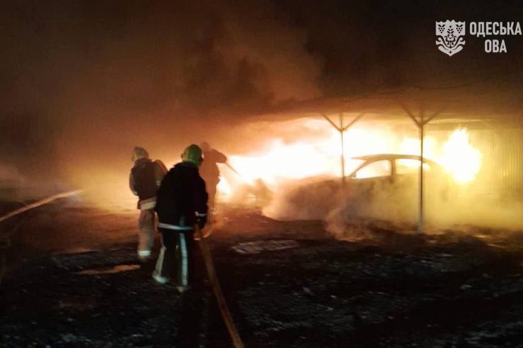 Внаслідок ворожої атаки на Одещині пошкоджено притулок для тварин: загинула одна тварина