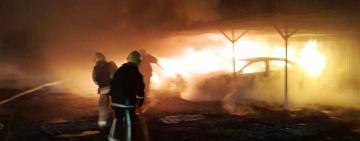 Внаслідок ворожої атаки на Одещині пошкоджено притулок для тварин: загинула одна тварина